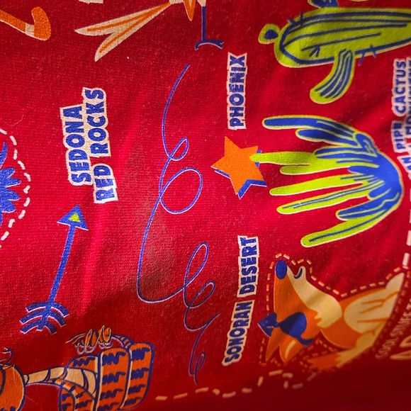 Hanes Cool Stuff to See in Arizona Youth Graphic Short Sleeve Tee - Picture 7 of 8